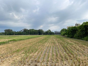 專任 附近中壢體育園區 龍慈路旁稀有大坪數都內農｜桃園市平鎮區西社段