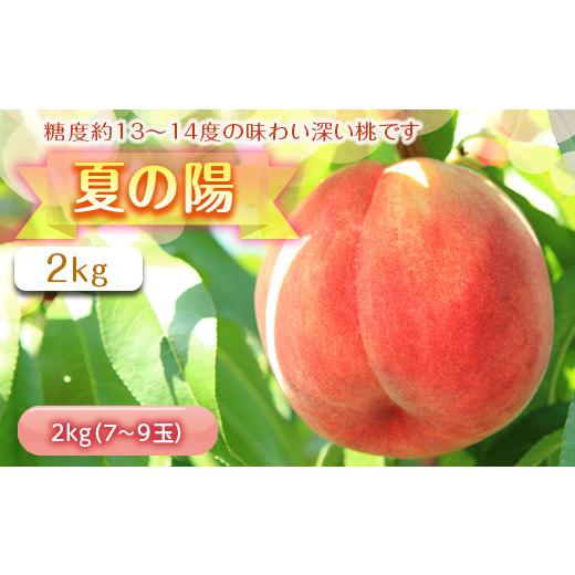 ふるさと納税 福島県 伊達市 夏の陽2kg（7〜9玉） F20C-454