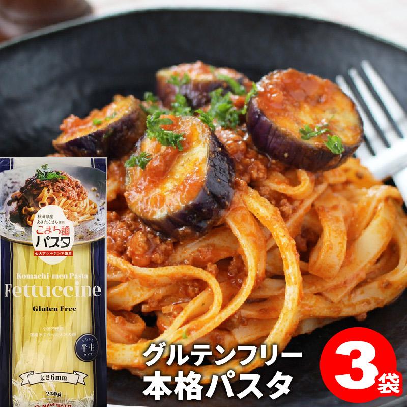 パスタ グルテンフリー お米のパスタ こまち麺 フェットチーネ 250g×3袋 (6食入) 送料無料 無塩 早ゆで 国産 米粉麺 半生麺 ライスヌードル