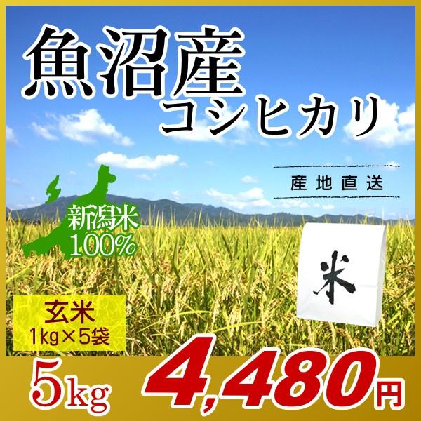 魚沼産 コシヒカリ 玄米 5kg(1kg×5袋)／新米 米 お米 新潟米 新潟 コシヒカリ 南魚沼産 魚沼 高級米 ブランド米 エコ梱包