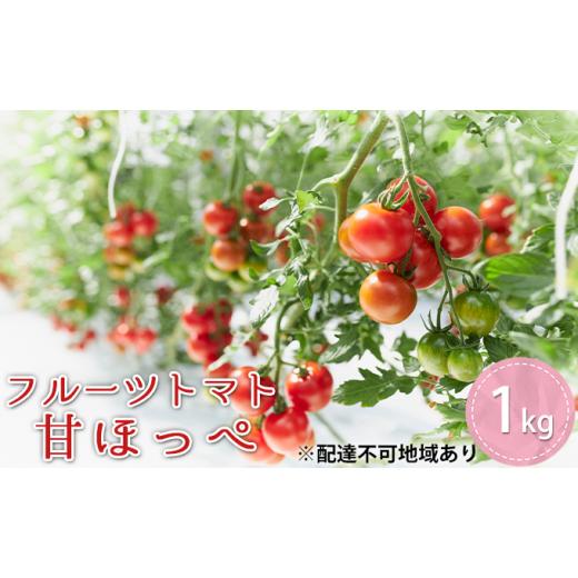 ふるさと納税 兵庫県 加東市 フルーツトマト『甘ほっぺ（フルティカ）』1kg