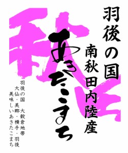  令和5年産 新米羽後の国 南秋田内陸産あきたこまち 10kg 白米 (玄米 無洗米 選べます。）新米 あきたこま