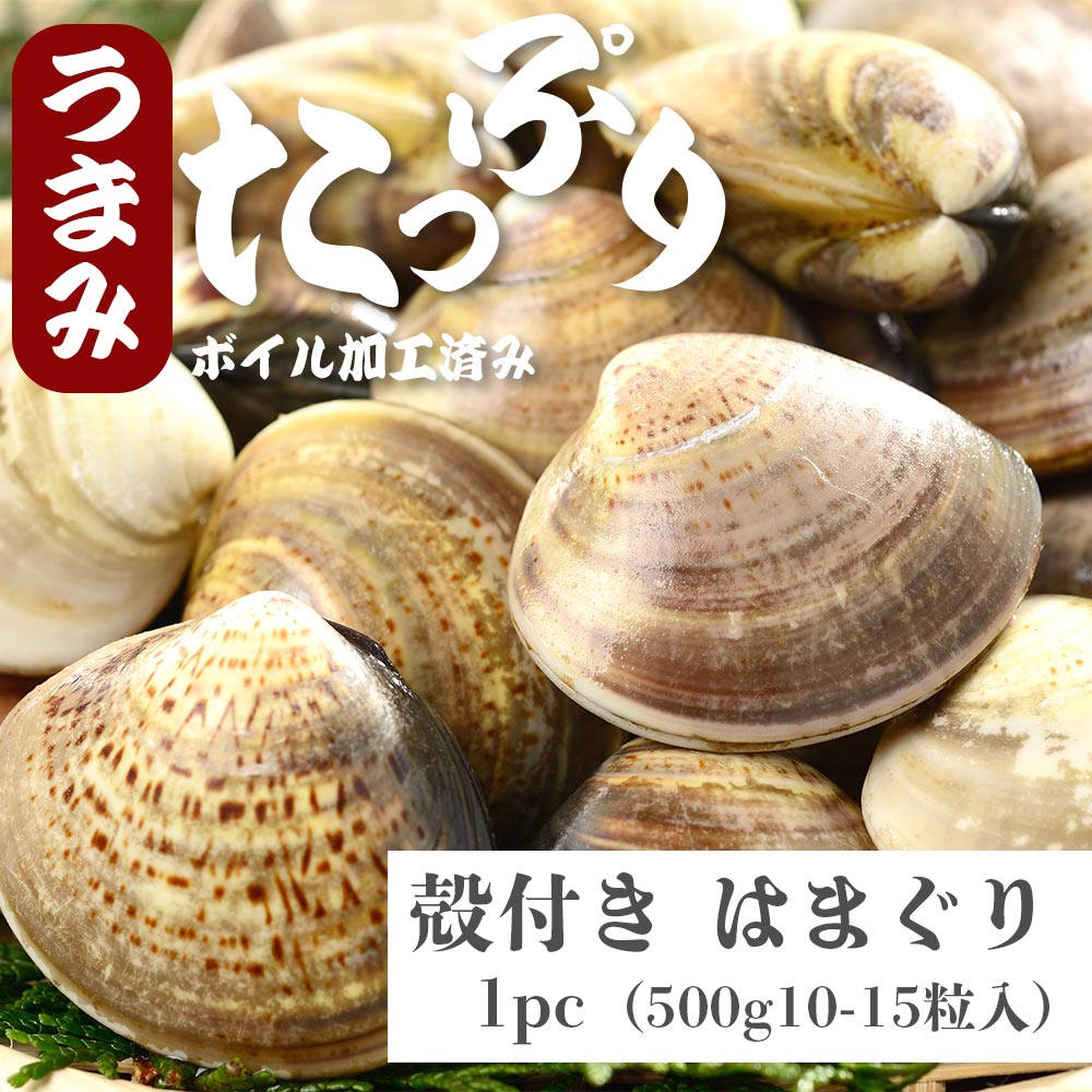 殻付き はまぐり Lサイズ 1ｋg (20-30粒) お吸い物粉末 付き 冷凍食品 真空 BBQ 酒蒸し お食い初め 貝 お吸いセット 出汁 ハマグリ お吸いもの 松茸味