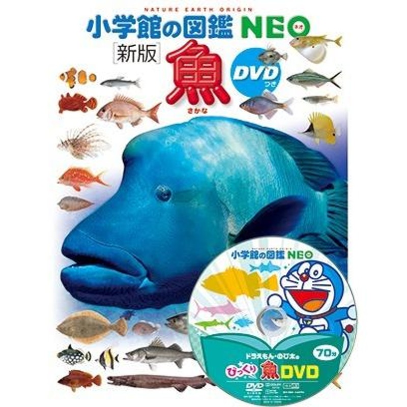 人文小学館の図鑑NEO 10冊 動物 鳥 きのこ 花 水の生物 魚 人間 恐竜 