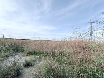 安中路大面寬農地 幸福買賣｜台南市安南區淵南段
