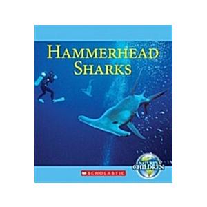 Hammerhead Sharks (Library Binding)