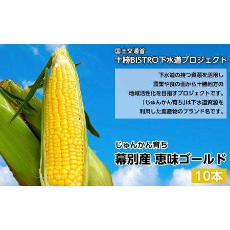 ふるさと納税 とうもろこし 恵味ゴールド 10本「じゅんかん育ち」北海道 十勝 幕別町 北海道幕別町