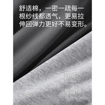 貓人男士內褲男款純棉四角名牌正品高檔透氣2026新款男生平角短褲