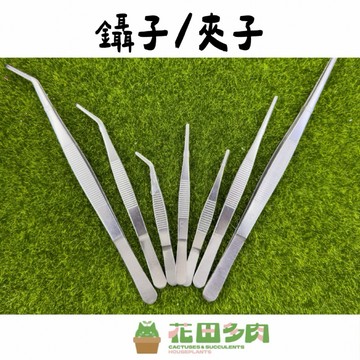 《花田多肉》🌵【鑷子/夾子】   園藝工具/微景觀/資材/小工具/多肉/組盆/園藝/水族/盆栽/仙人掌/龍舌蘭/觀葉