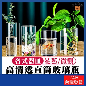 高清透直筒玻璃瓶【寶包老闆】台灣公司現貨 微觀玻璃瓶 玻璃花瓶 花盆 小花瓶 花藝花瓶 鮮花盆器 歐式花瓶 水培花瓶