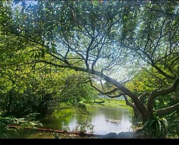 大安森林公園捷運口 三角窗金店住｜台北市大安區信義路三段