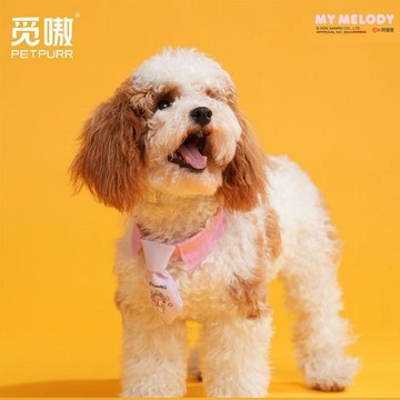 ⭐限時下殺🔥覓嗷三麗鷗正版寵物可愛領結項圈狗狗貓咪脖圈衣領小型犬裝飾比熊