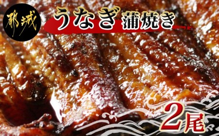 鰻専門店・職人手焼きの本格うなぎ蒲焼き2尾_MJ-3305_(都城市) 国産 本格 うなぎ 鰻 蒲焼 宮崎 柳川屋