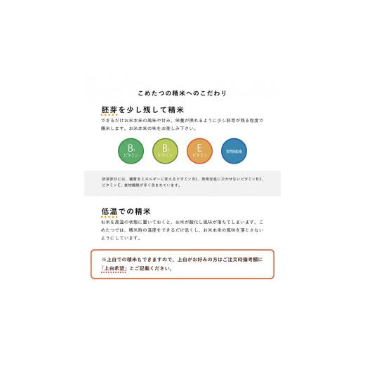 ふるさと納税 熊本県 玉名市 MB02-2 新米 令和5年産 きぬひかり 白米 27kg × 1袋