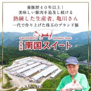 ふるさと納税 t003-003 3ヵ月に1回お届け！ぎょうざ好きのための餃子定期便 鹿児島県志布志市