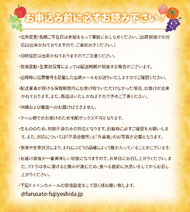 旬のお任せフルーツボックス定期便（8月・9月） フルーツ シャイン 山梨県産 シャインマスカット 2房 桃 果物 フルーツ くだもの 果実 フルーツ王国 旬 フルーツ 定期便 果物定期便 フルーツ 旬 フルーツ定期便 山梨県 シャインマスカット フルーツ ピーチ もも フルーツ マスカット 定期便 果実 フルーツ 高級 くだもの 2024年 先行予約 巨峰 シャインマスカット 旬の果物 旬のフルーツ シャインマスカット 大粒 贈答 ギフト シャインマスカット