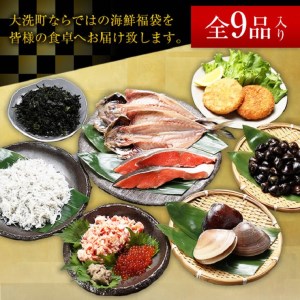 豪華 海鮮 福袋 ゴールド全9品 カジマ かに 蟹 しらす はまぐり ずわいがにコロッケ カジキメンチ アジ開き わかめ しじみ 紅鮭 魚 切身 魚介類 冷凍保存_AF042