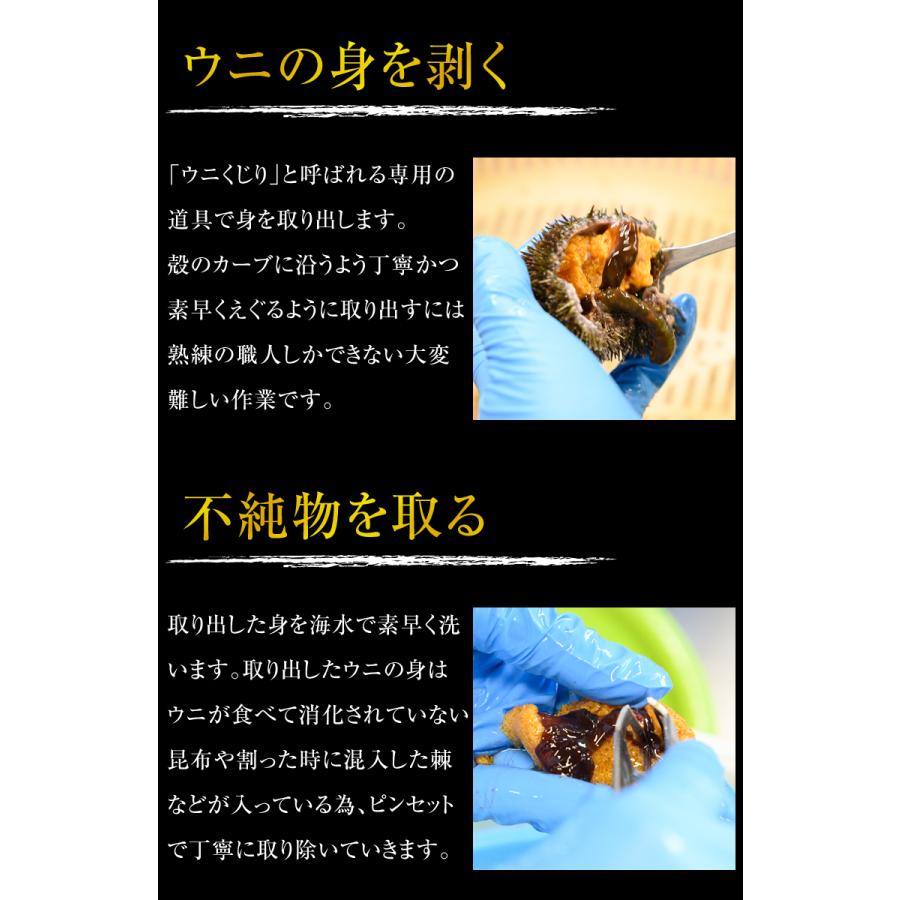 ウニ 塩水 無添加 うに 北海道 送料無料 セット 高級 詰め合わせ