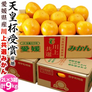 JAにしうわ 愛媛 西宇和産 川上みかん 大玉2Lサイズ 約3kg×3箱 送料無料 ギフト お歳暮 みかん