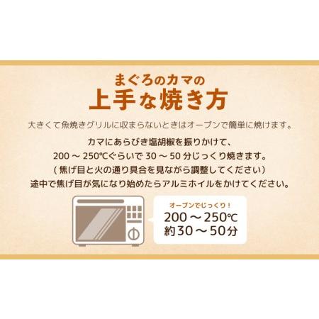 ふるさと納税 マグロの王様！国産 本まぐろカマ3kg [e04-b020] 抜群の脂乗り 本まぐろ 本マグロ まぐろ マグロ 鮪 福井県越前町