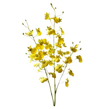 FLORAL M 仿真花 跳舞精靈文心蘭  黃色  1支  居家裝飾花藝擺設