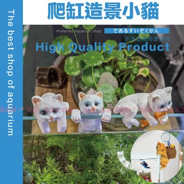 魚寶貝【爬缸造景小貓】水族造景 樹脂模型 仿真路牌 微景觀裝飾 魚缸造景 魚缸布置 園藝造景 多肉 盆栽 魚缸裝飾