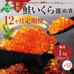 贅沢 新物 たっぷり 12.0kg ！ (250g×4パック) 12ヶ月 北海道 産 絶品 鮭 いくら醤油漬け ＜いくら丼144～192杯分！＞鱒（マス）ではなく、北海道産の鮭（サケ）のいくらです（ いくら イクラ 鮭卵 定期便 醤油漬け 北海道 人気 ふるさと納税 ）