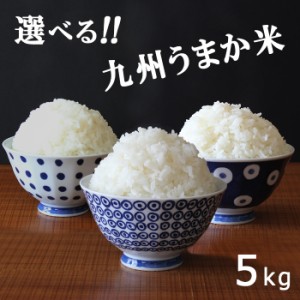 米5kg 米 お米 5kg 選べる 九州うまか米 夢つくし 元気つくし ひのひかり 1袋 送料無料 こめ 白米 つきたて米 福岡県産