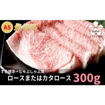 ふるさと納税 A5飛騨牛　すき焼き・しゃぶしゃぶ用　ロース又はカタロース　300g 岐阜県大垣市