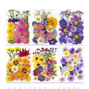 中花包組合 真花壓花 永生花 森林系 少女寫真 壁畫 DIY水晶滴膠 乾燥花 植物標本