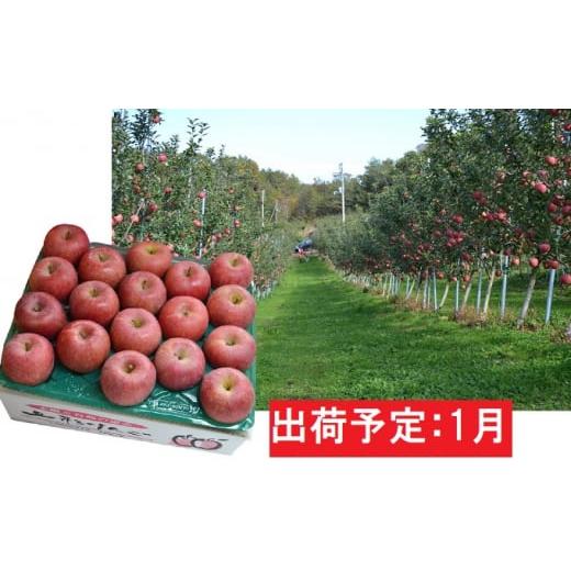 ふるさと納税 山形県 大江町 1月 サンふじ約5kg・秀品 [No.5823-0745]