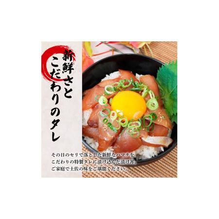 ふるさと納税 これが魚屋の漬け丼だ！〜ハマチ〜 《訳あり》 ８０ｇ×１０P ハマチ はまち 漬け丼 漬け どんぶり 丼 10パック 海鮮 魚 真空.. 高知県田野町