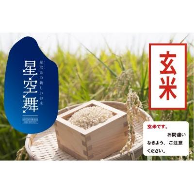 ふるさと納税 江府町 令和5年産《玄米》星空舞 5kg ほしぞらまい お米 鳥取県産 R5 0622