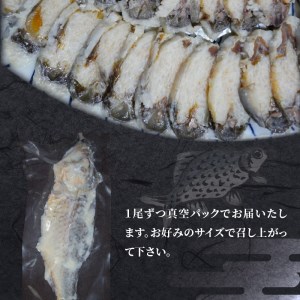 びわ湖産にごろ鮒（オス）鮒寿司 ５尾