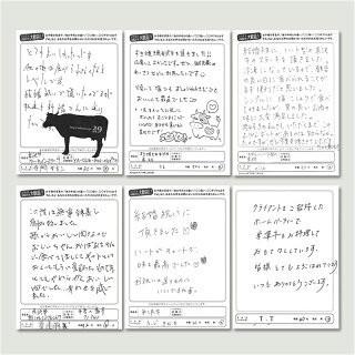 飛騨牛 ステーキ シャトーブリアン 800g 100g×8枚 4〜8人前 フィレステーキ お肉 肉 牛肉 和牛 国産 結婚祝い 出産 内祝い A5 A4