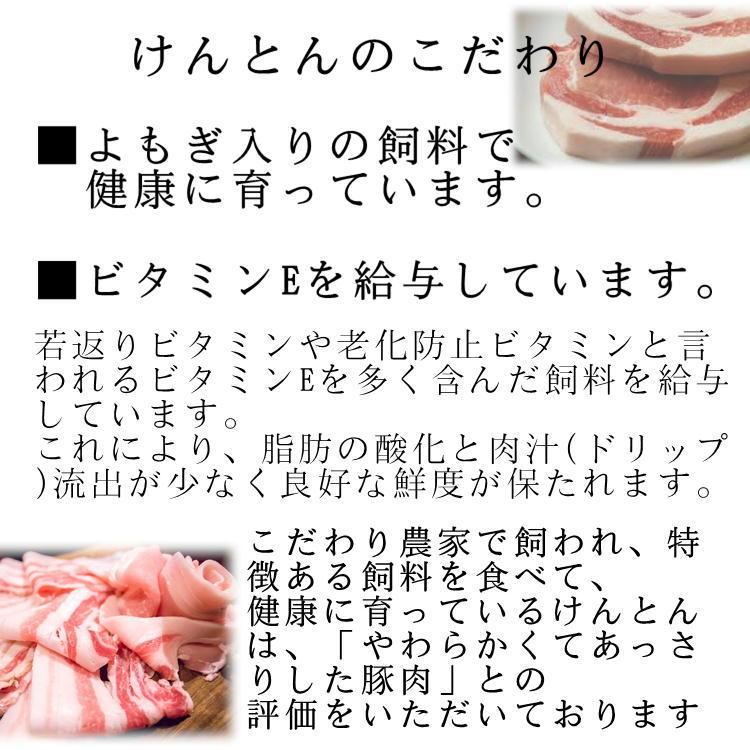 国産豚肉 豚ロース 焼肉 500g  おいしい岐阜県産の豚肉 けんとん豚 バーベキュー BBQ 焼肉 スライス