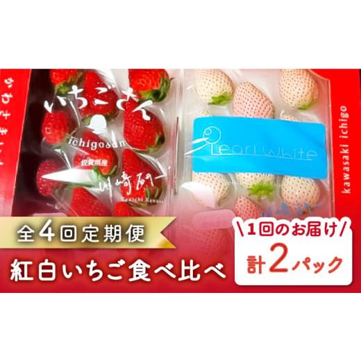 ふるさと納税 佐賀県 白石町 食べ比べ！いちごさん＆パールホワイト定期便 [IBG012]