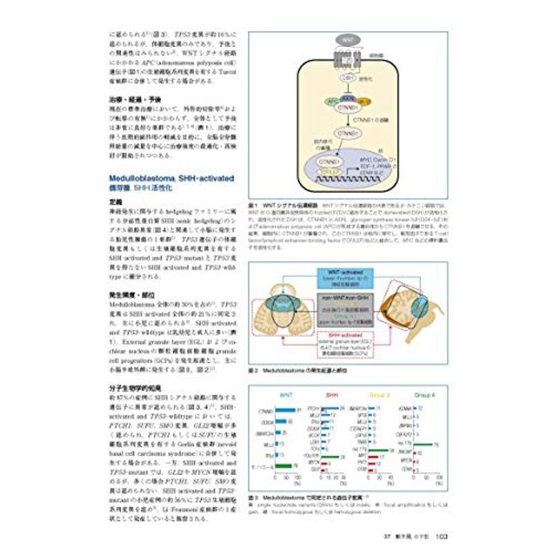 脳腫瘍臨床病理カラーアトラス 第4版