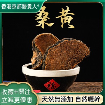 【中草行】限時特賣✅桑黃 西藏桑黃 野外生長桑黃 自然曬幹 泡水泡茶 250g-500g【使用之食材】