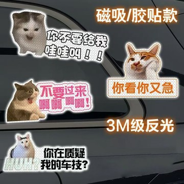 🐱【貓咪meme反光車貼】磁吸迷因表情包裝飾 台灣出貨 可愛女司機車尾貼 搞笑安全 個性張揚