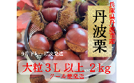 丹波栗　３L以上　２ｋｇ