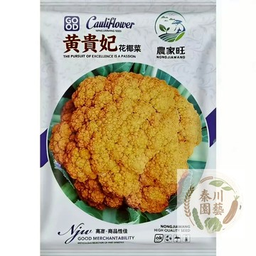 現貨【稀有金黃花菜】黃貴妃花椰菜種子 原裝正品 高產抗病 家庭菜園必備 新手易種 送種植教學