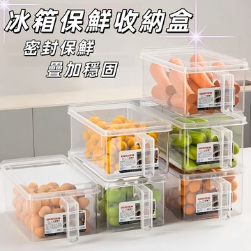 【佳佳幫🚢免運】冰箱收納盒 帶把手 冰箱儲物盒 蔬果收納盒 廚房分類盒 冷凍保鲜盒 冷凍盒 凍肉盒 保鮮盒 廚房整理盒