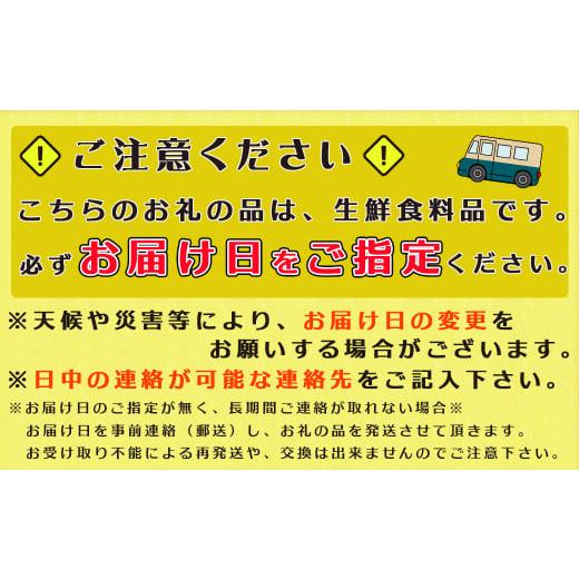 ふるさと納税 千葉県 鴨川市 いずみや鮮魚店の活きサザエ・蛤(はまぐり) 貝づくしセット　[0030-0052]