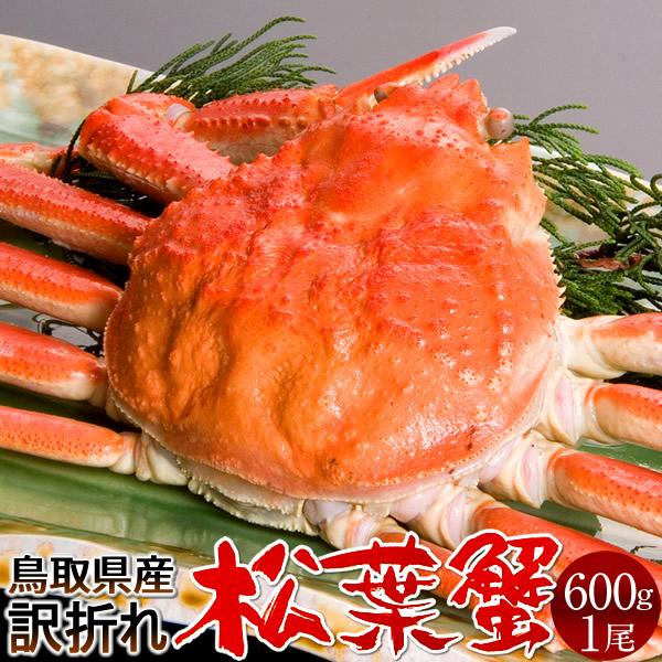 松葉ガニ 松葉蟹 訳あり［B大］600g ゆで蟹 ボイルまつばがに 足折れ 新物 鳥取県産 浜茹で マツバガニ ズワイガニ［お歳暮 2023 ギフト 御歳暮］