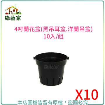 【綠藝家】4吋蘭花盆(黑吊耳盆.洋蘭吊盆)10入/組