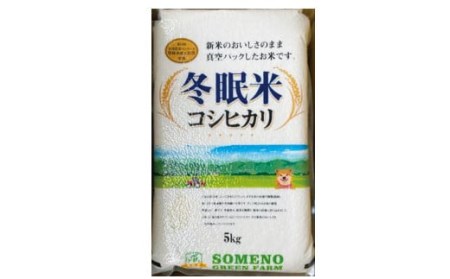 令和5年産 コシヒカリ 冬眠米 5kg×6回 計30kg 定期便 茨城県産 白米 精米 ごはん お米 冬眠 とうみんまい ブランド米 検査米 単一原料米 国産 守谷市 送料無料