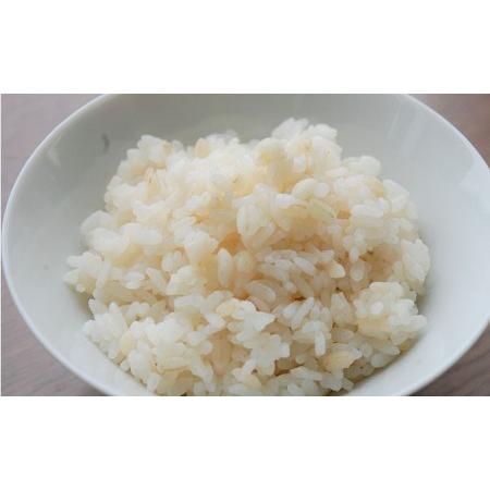 ふるさと納税 ご飯パック もち麦入り贅沢あきろまんパックご飯 150g×12個入り インスタント ご飯 広島県安芸高田市