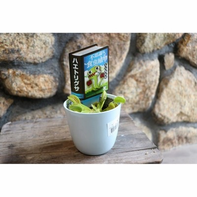 正規品販売！ r400 レイアウト用品