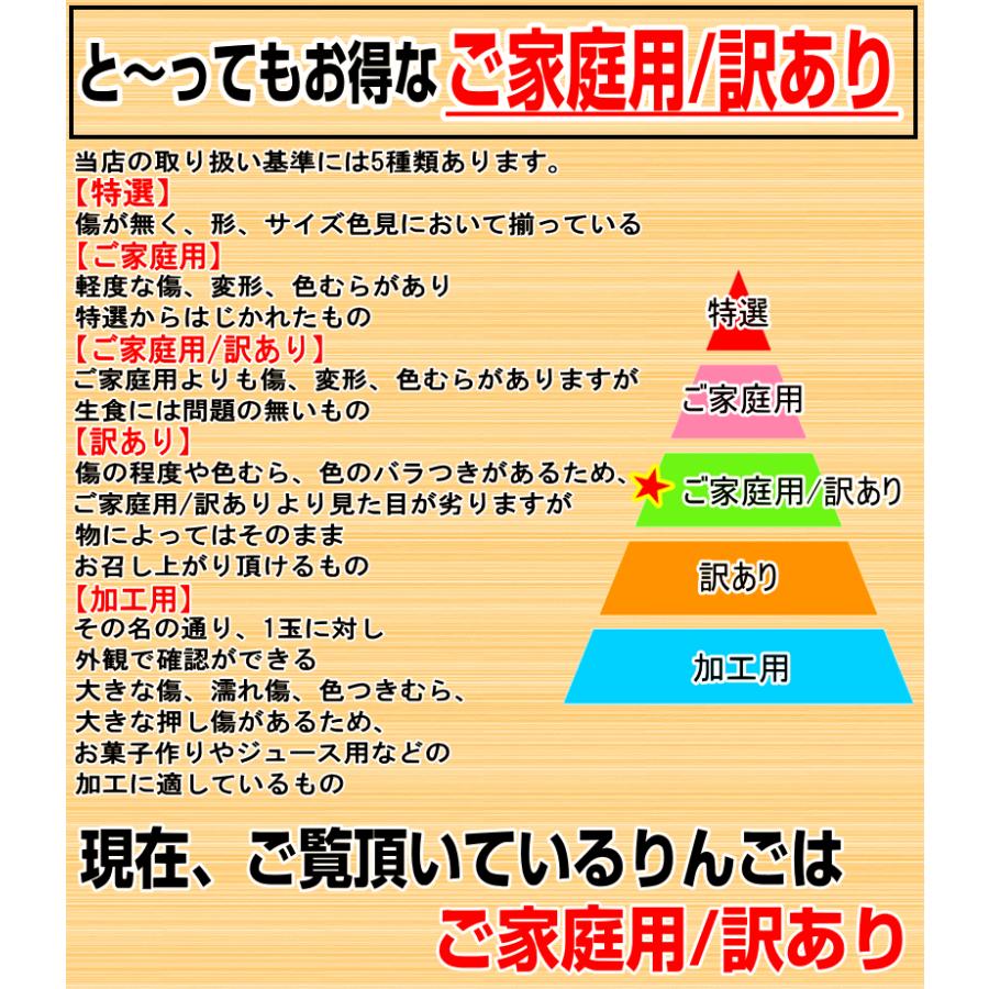 あすつく クーポンで100円引き 青森 りんご 3kg箱 きみと 送料無料 家庭用 訳あり 青森 リンゴ 訳あり 3キロ箱★きみと 家訳 3kg箱